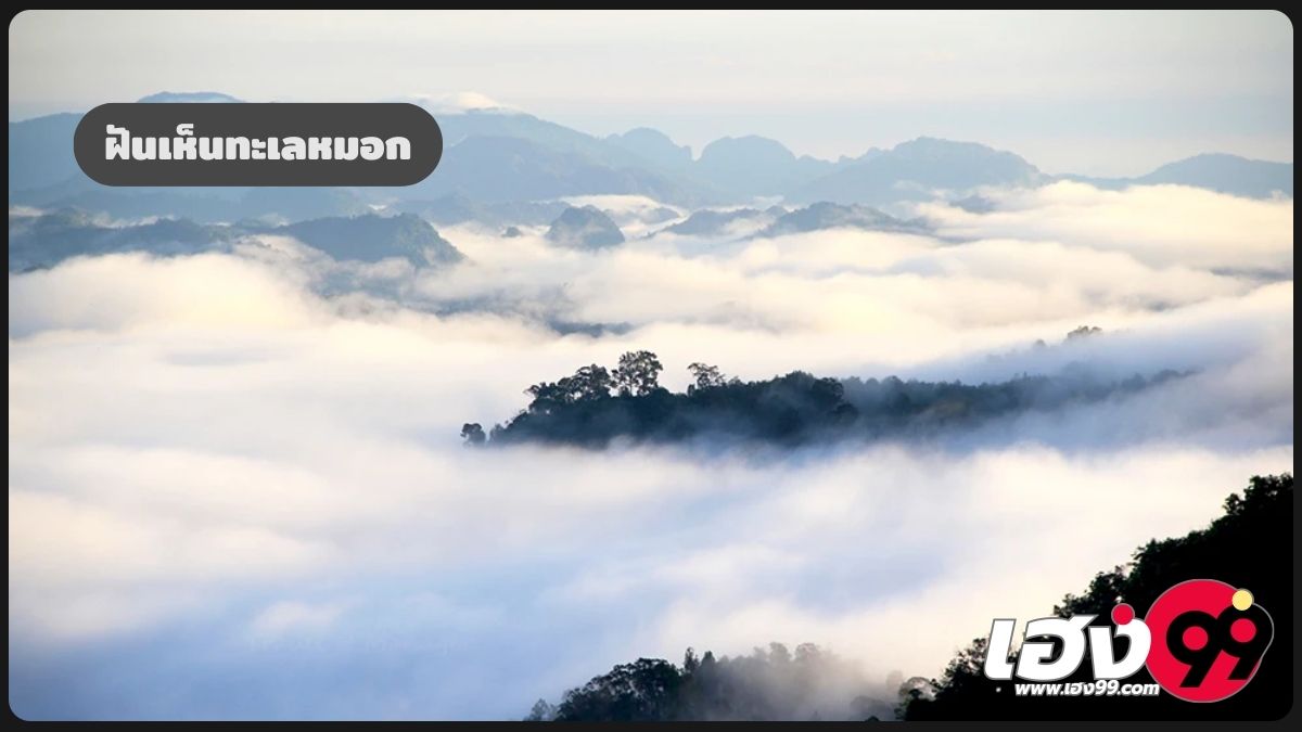 ฝันเห็นทะเลหมอก